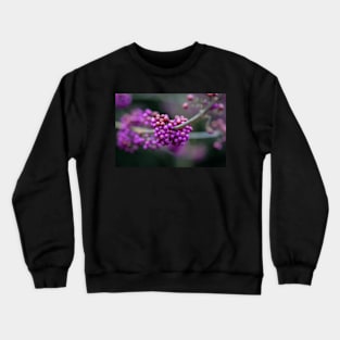 Callicarpa bodinieri Crewneck Sweatshirt